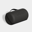 Voon Case